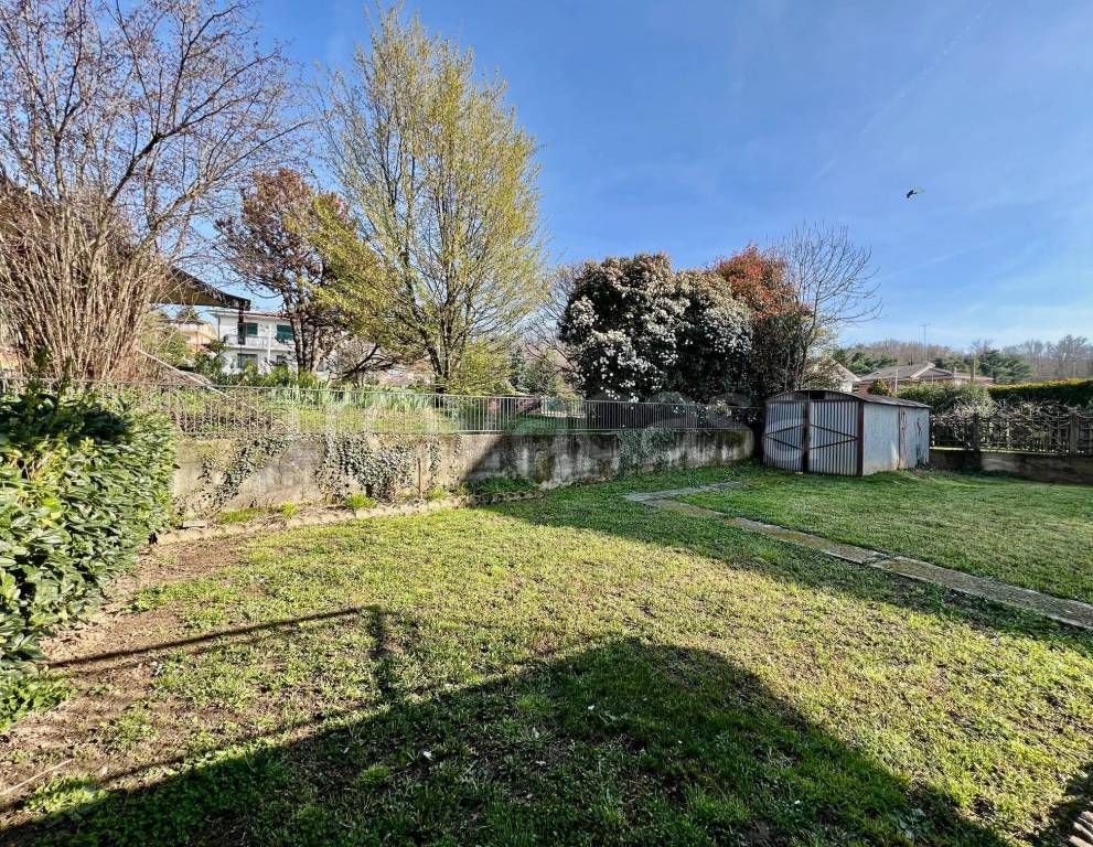 immagine annuncio 8 di 15