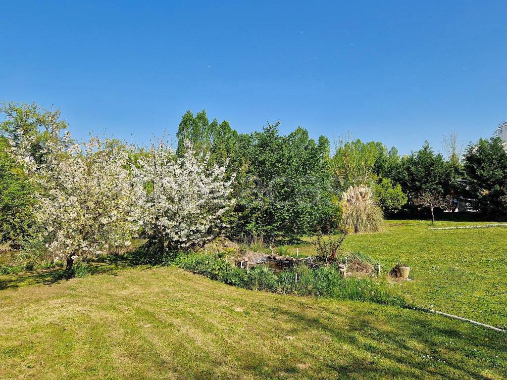 immagine annuncio 7 di 9