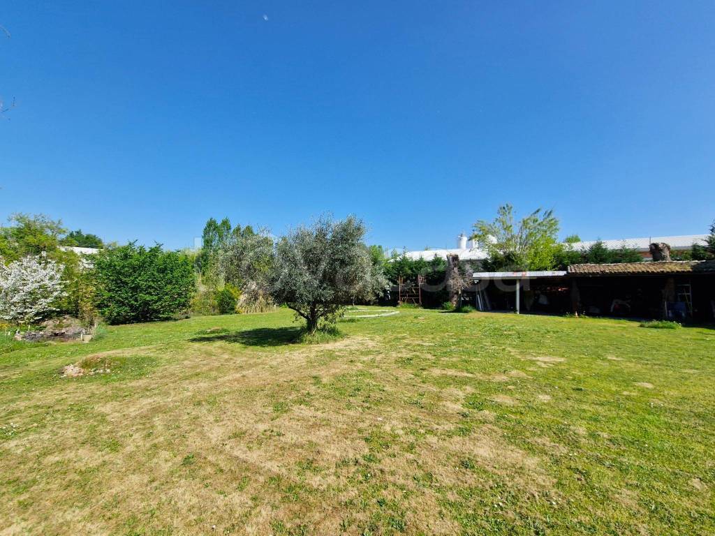 immagine annuncio 8 di 9