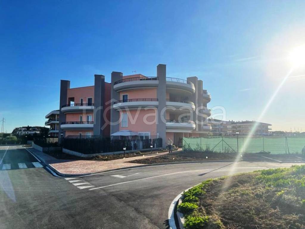 immagine annuncio 5 di 12