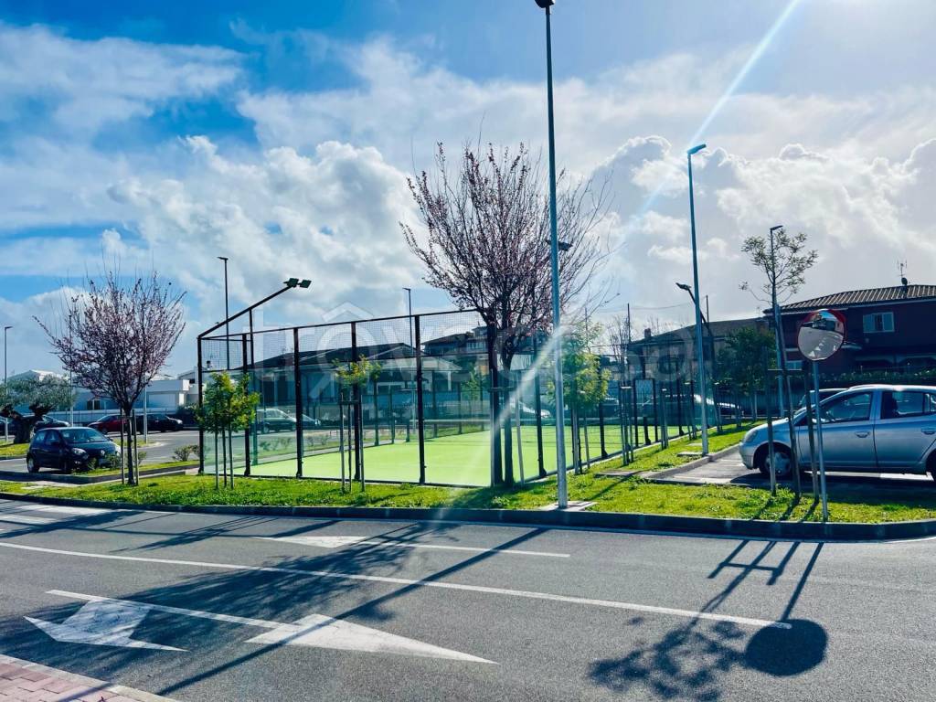 immagine annuncio 9 di 12