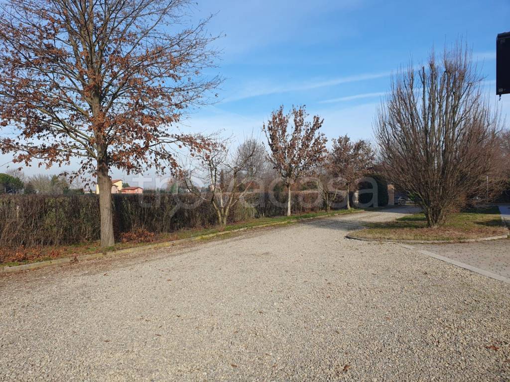 immagine annuncio 7 di 14