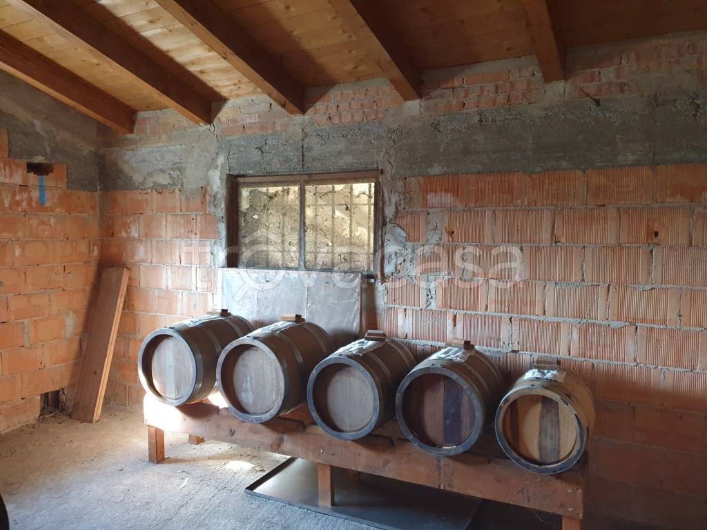 immagine annuncio 9 di 14