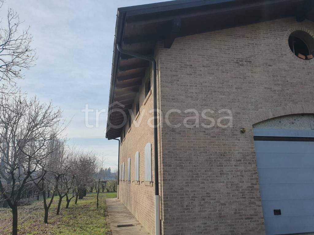 immagine annuncio 11 di 14