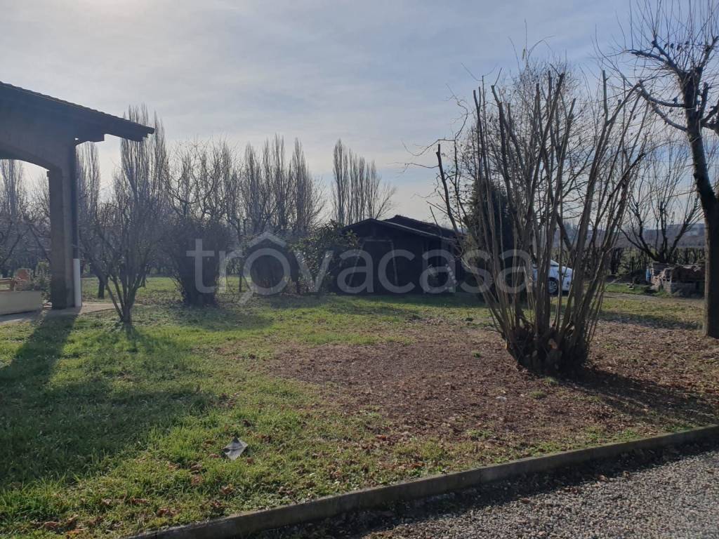 immagine annuncio 12 di 14