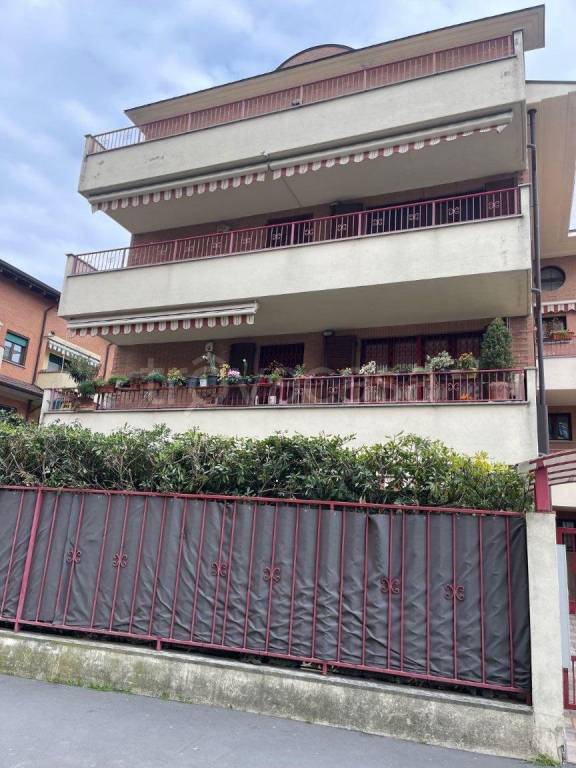 immagine annuncio 5 di 15