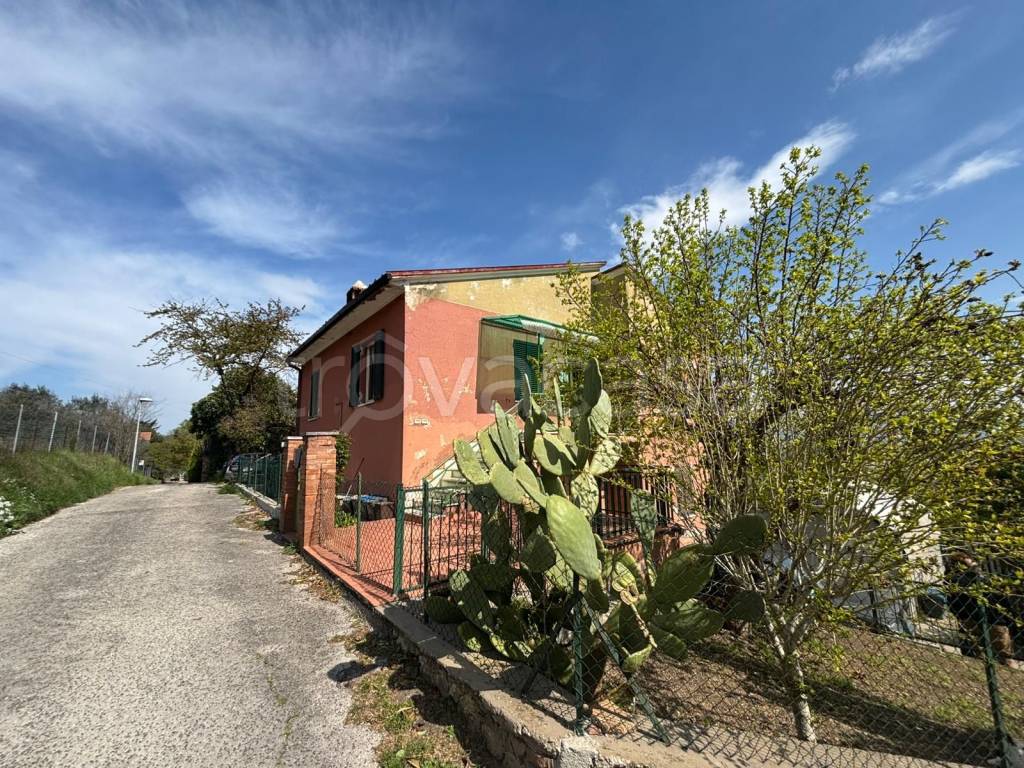 immagine annuncio 2 di 8