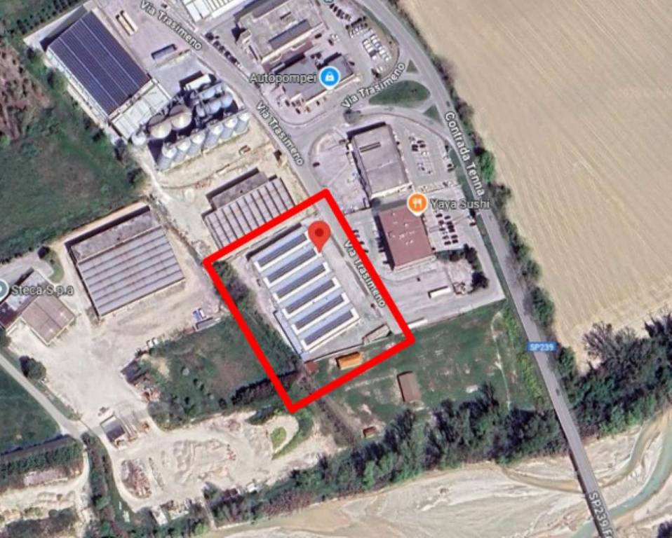 immagine annuncio 1 di 9