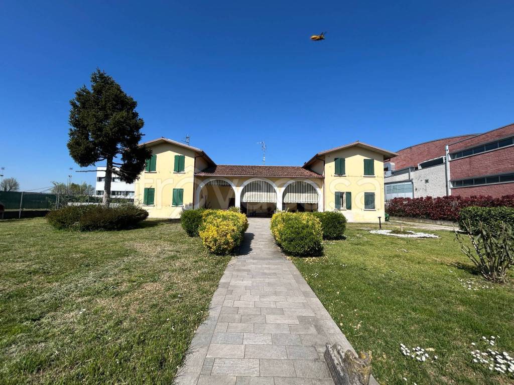 immagine annuncio 6 di 15