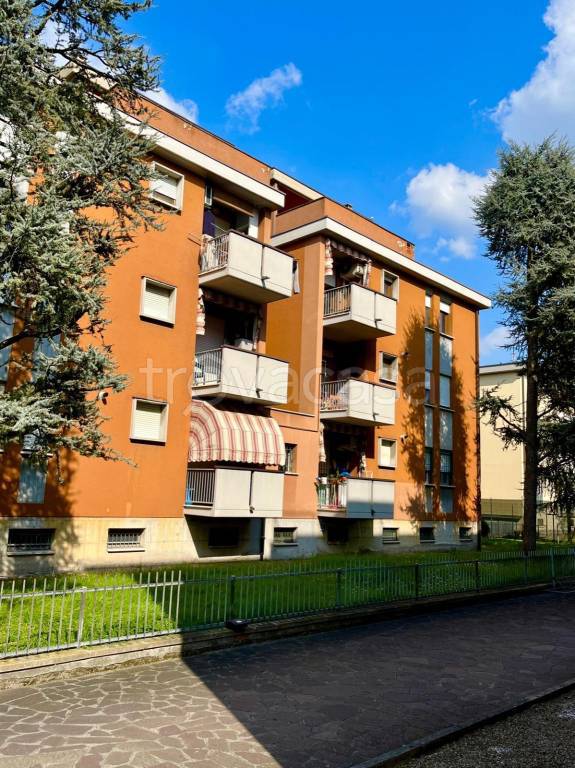 immagine annuncio 1 di 10