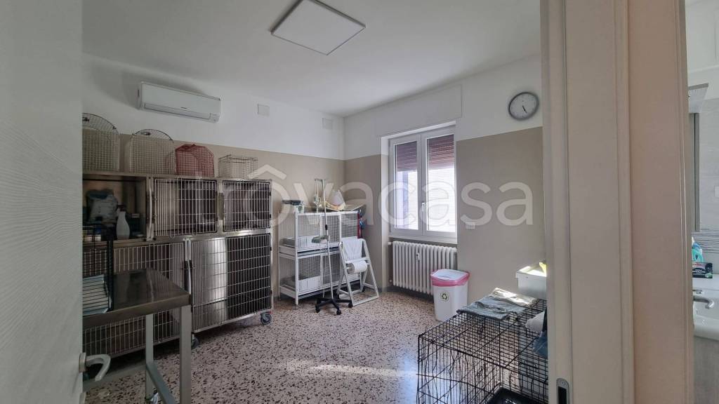 immagine annuncio 8 di 14