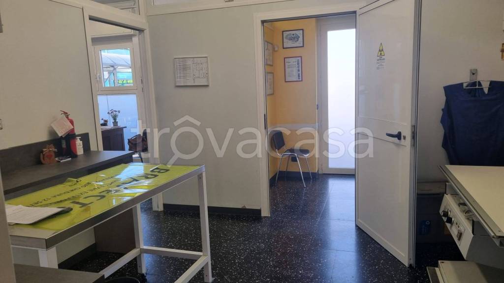 immagine annuncio 9 di 14