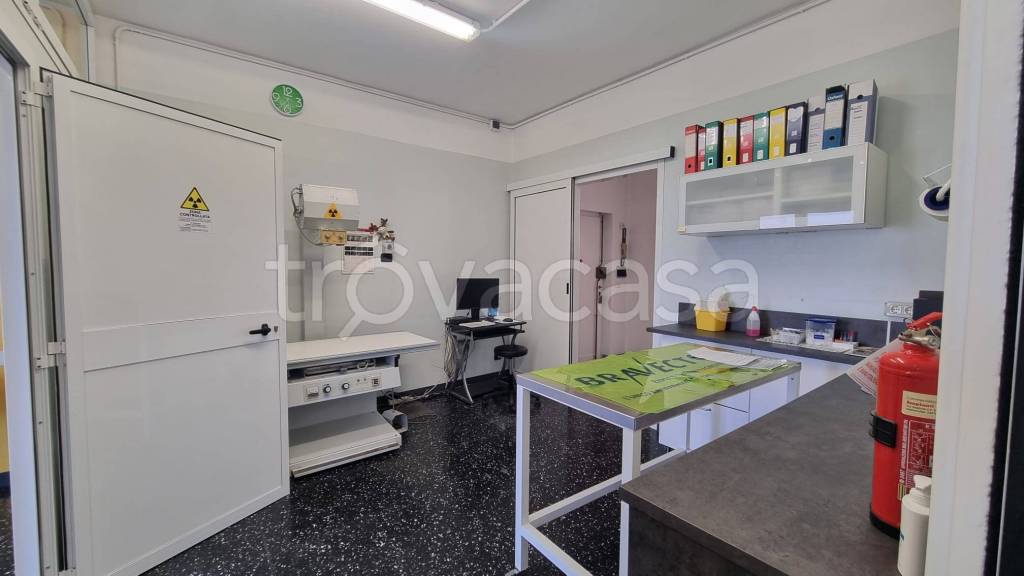 immagine annuncio 5 di 14