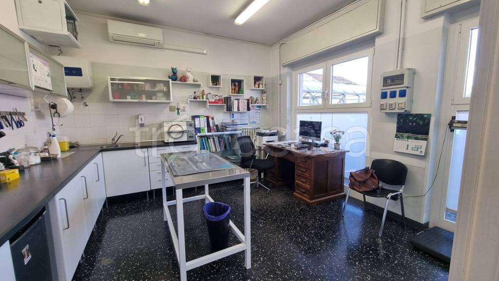 immagine annuncio 10 di 14