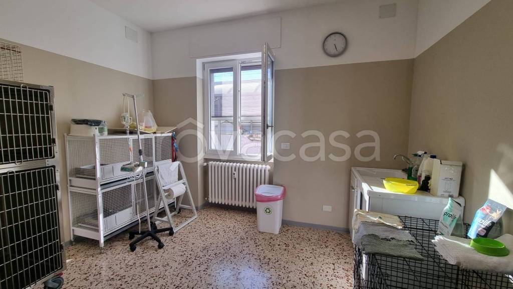 immagine annuncio 11 di 14