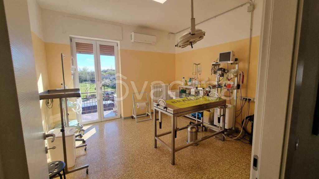 immagine annuncio 4 di 14