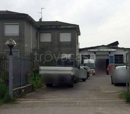 immagine annuncio 1 di 14