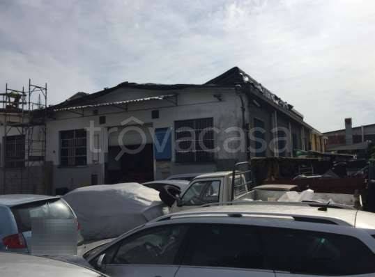 immagine annuncio 2 di 14