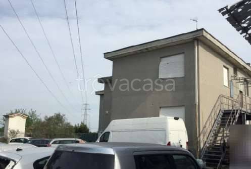 immagine annuncio 6 di 14