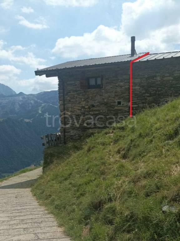 immagine annuncio 3 di 12