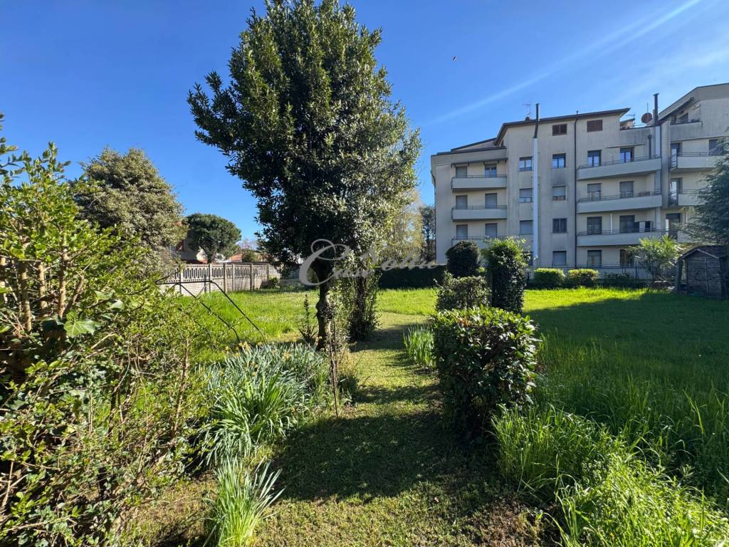 immagine annuncio 1 di 8