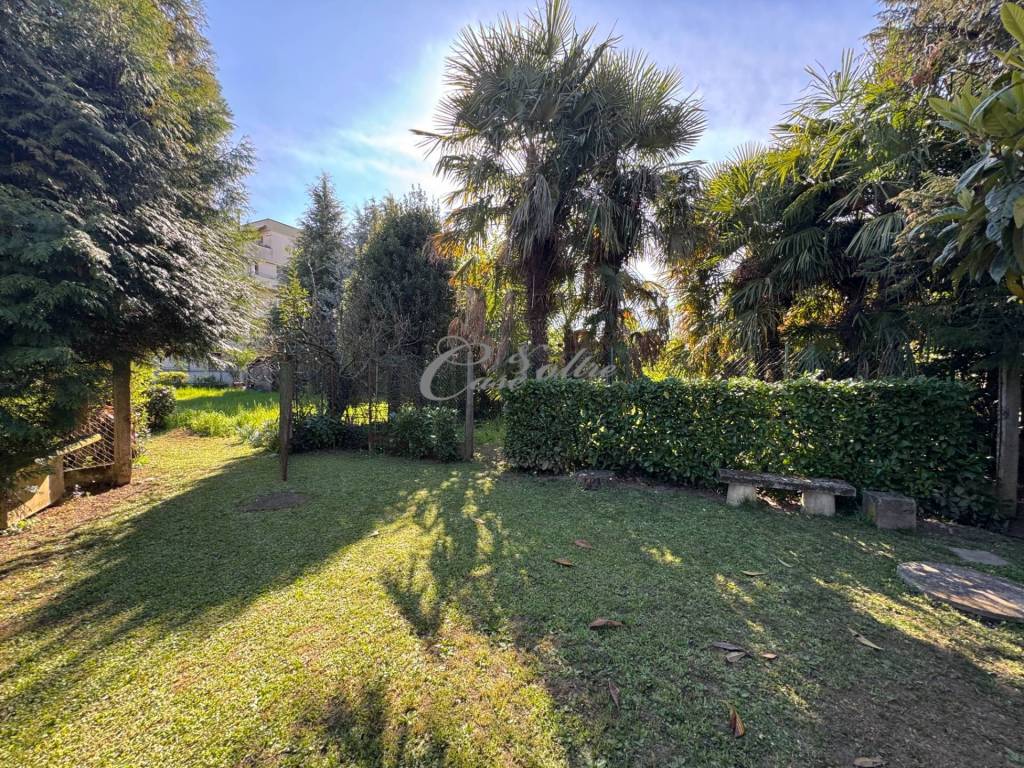 immagine annuncio 2 di 8