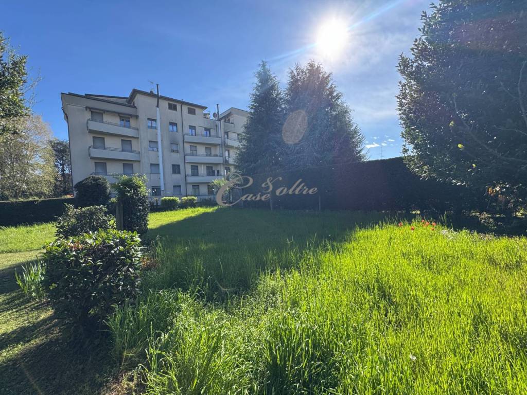 immagine annuncio 7 di 8