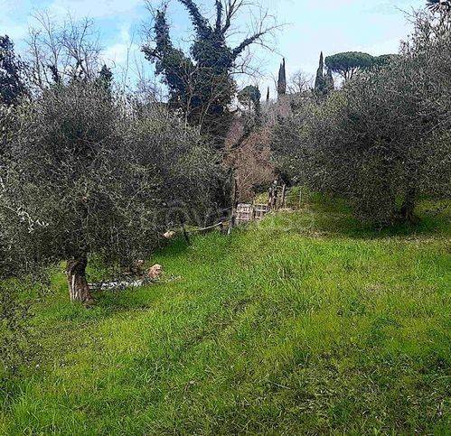 immagine annuncio 1 di 8