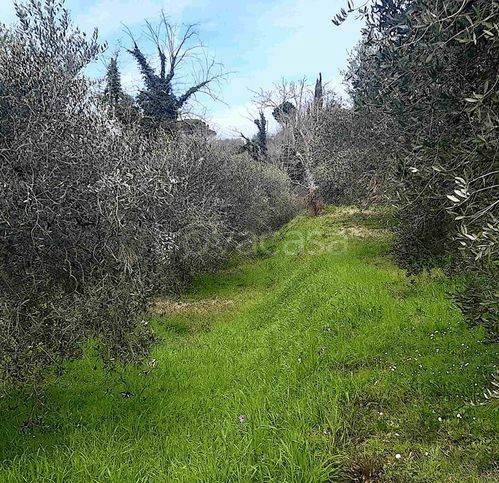 immagine annuncio 2 di 8