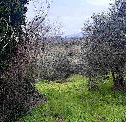 immagine annuncio 4 di 8