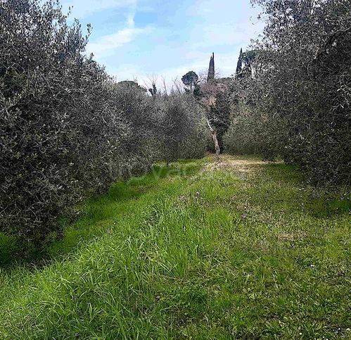 immagine annuncio 5 di 8