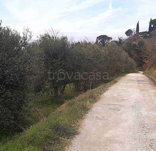 immagine annuncio 6 di 8