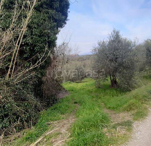 immagine annuncio 7 di 8