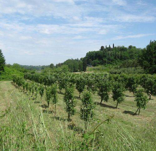 immagine annuncio 1 di 7