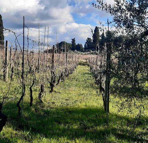 immagine annuncio 5 di 13