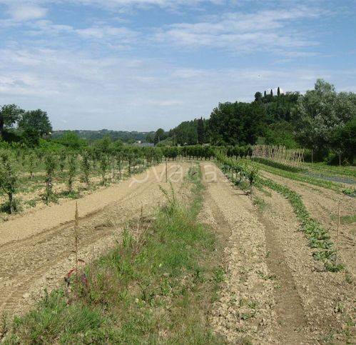 immagine annuncio 2 di 7