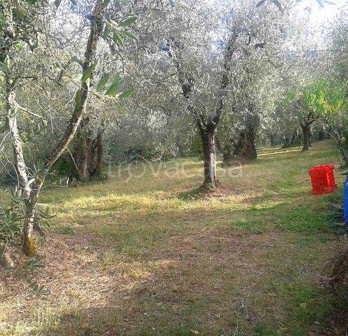 immagine annuncio 6 di 13