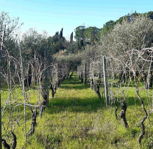 immagine annuncio 8 di 13