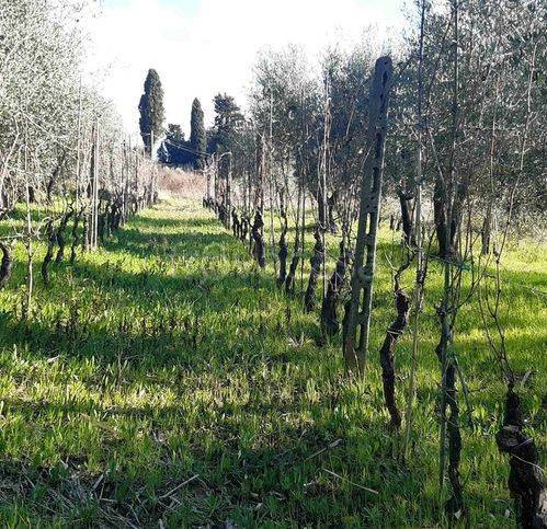 immagine annuncio 9 di 13