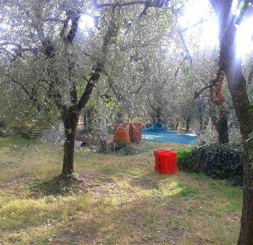 immagine annuncio 8 di 13