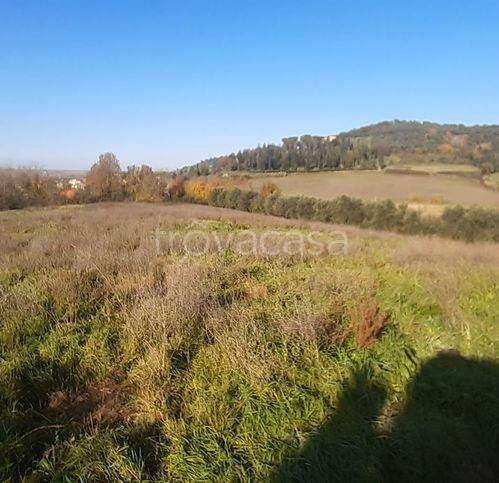 immagine annuncio 3 di 7