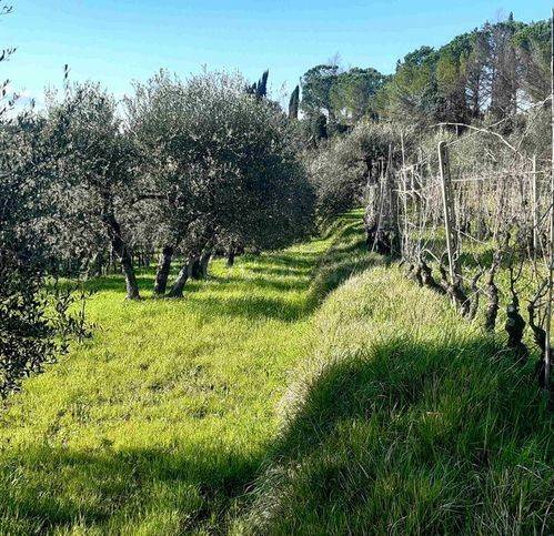 immagine annuncio 10 di 13