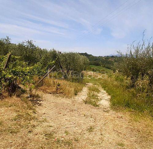 immagine annuncio 2 di 11