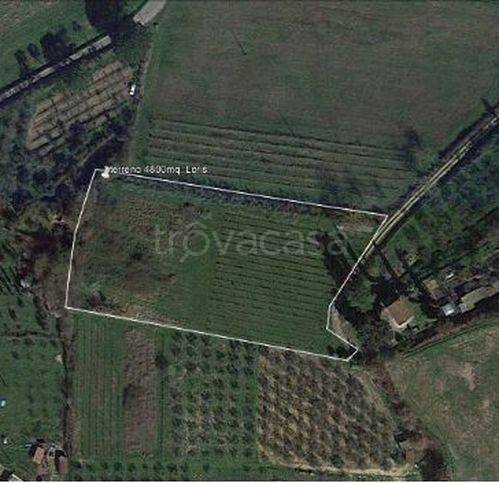 immagine annuncio 6 di 7