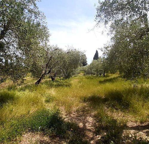 immagine annuncio 4 di 11