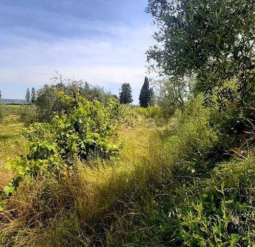 immagine annuncio 5 di 11