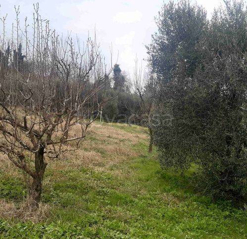 immagine annuncio 1 di 8