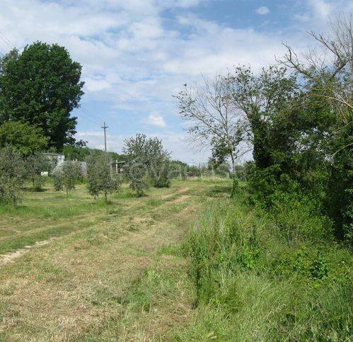 immagine annuncio 4 di 8