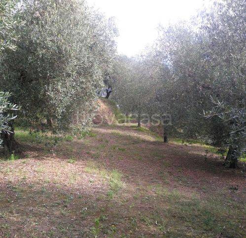 immagine annuncio 1 di 7