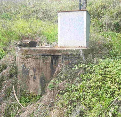 immagine annuncio 4 di 8